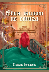 Един живот не стига