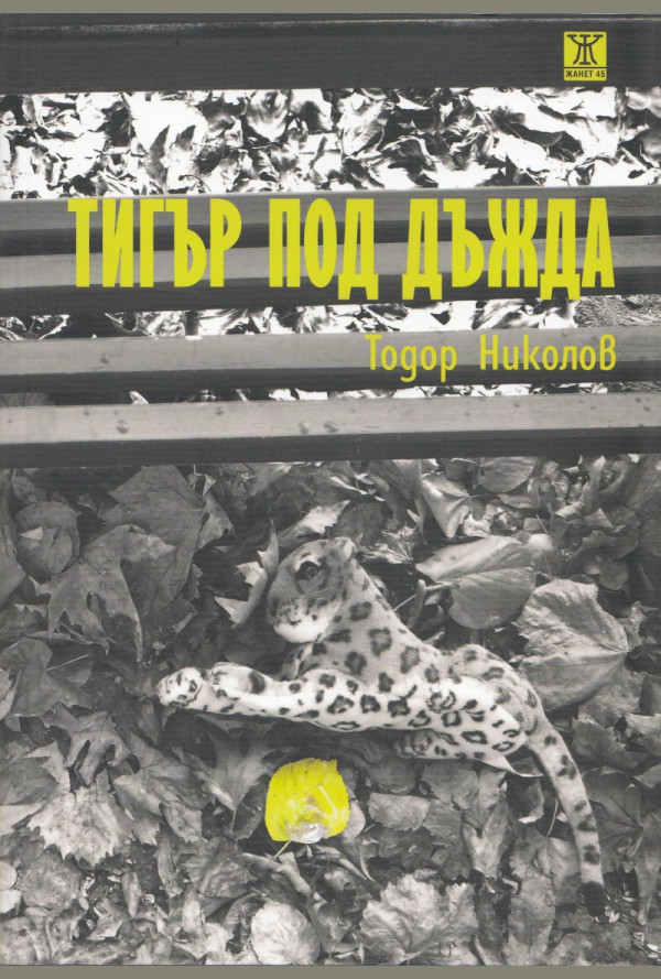 Тигър под дъжда