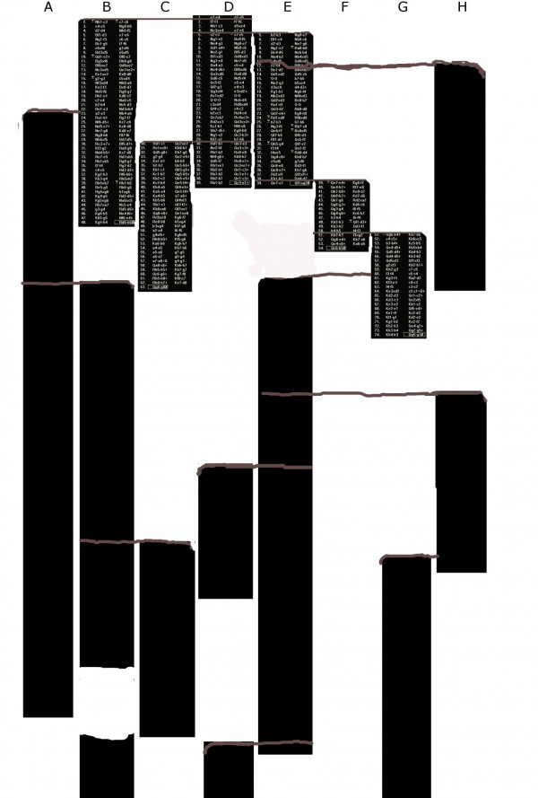 Гледане на игра на шах в единадесетото измерение