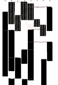 Гледане на игра на шах в единадесетото измерение